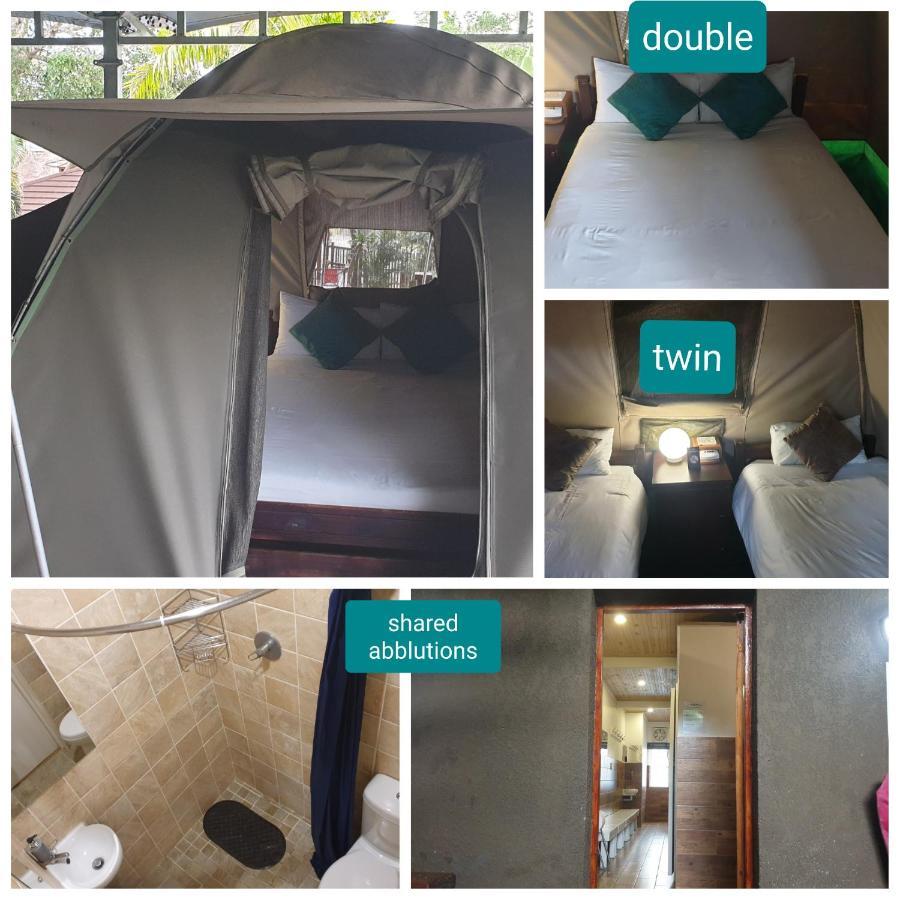 Urban Glamping Tranquil International Backpacking Village Saint Lucia Estuary Exteriör bild