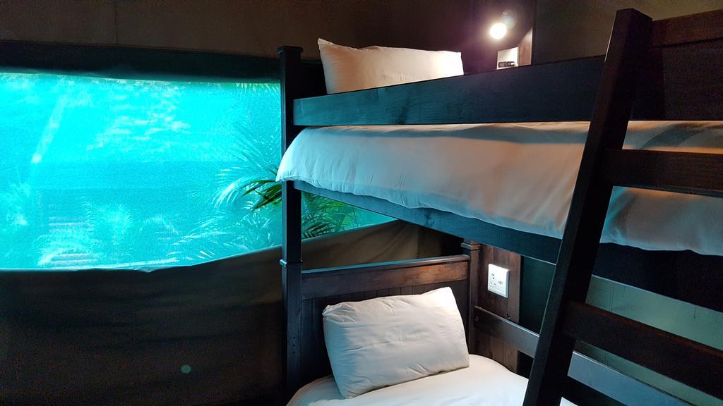 Urban Glamping Tranquil International Backpacking Village Saint Lucia Estuary Exteriör bild